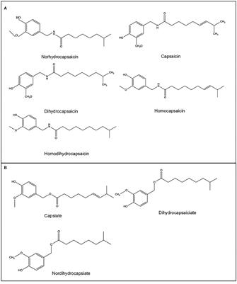 Recovery of Capsaicinoids and Other Phytochemicals Involved With TRPV-1 Receptor to Re-valorize Chili Pepper Waste and Produce Nutraceuticals